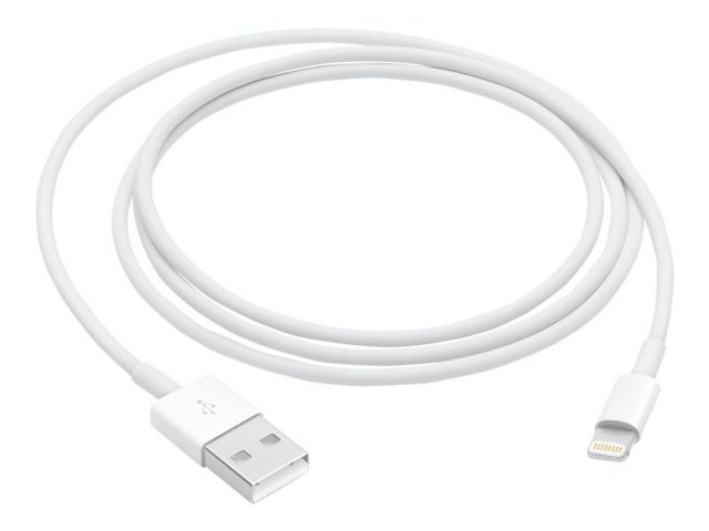 Apple Cable de conector Lightning a USB MXLY2ZM/A - Cable Lightning - Lightning / USB - 1 m iPad Air-iPad Air 2-iPad de 9,7