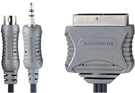 Bandridge cable S-VIDEO/jack 3,5 ST/  a SCART euroconector 10 metros VL6710, para conectar el PC a la TV